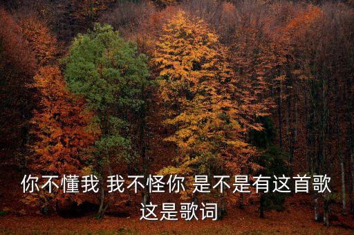 你不懂我 我不怪你 是不是有这首歌 这是歌词