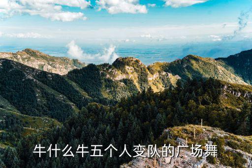 牛什么牛五个人变队的广场舞