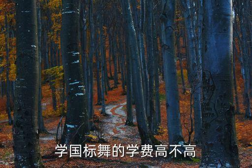 中国舞培训班收费，请问报跳舞方面的补习班学费是怎么算的啊