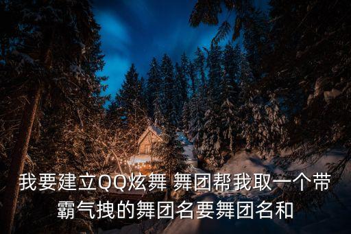 我要建立QQ炫舞 舞团帮我取一个带霸气拽的舞团名要舞团名和
