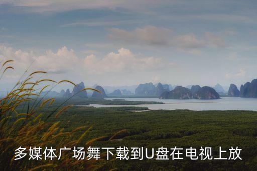 多媒体广场舞下载到U盘在电视上放