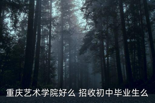 重庆艺术学院好么 招收初中毕业生么