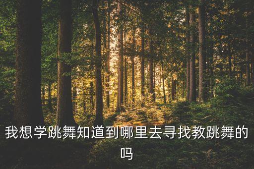 在哪里找编舞舞蹈教练，如何找舞蹈老师