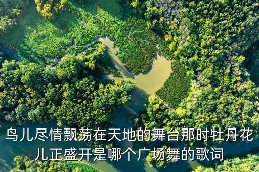 鸟儿尽情飘荡在天地的舞台那时牡丹花儿正盛开是哪个广场舞的歌词