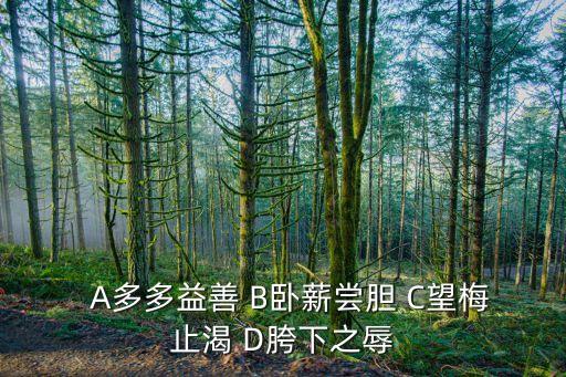   A多多益善 B卧薪尝胆 C望梅止渴 D胯下之辱