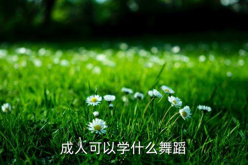 成人可以学什么舞蹈
