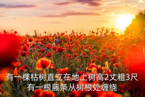 我会等枯树承桓简谱，有一棵枯树直立在地上树高2丈粗3尺有一根藤条从树根处缠绕