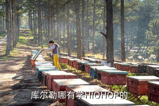 库尔勒哪有学HIOHOP的