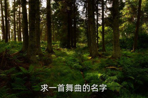 求一首舞曲的名字