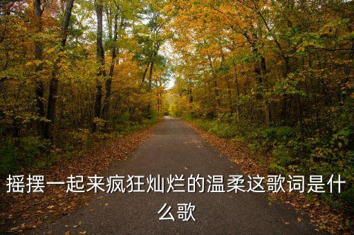 摇摆一起来疯狂灿烂的温柔这歌词是什么歌