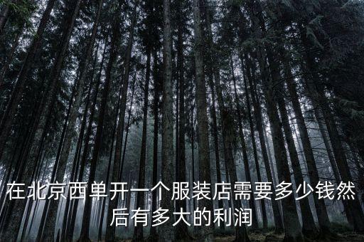 北京服装租金多少钱一个月多少钱一个月，在北京西单开一个服装店需要多少钱然后有多大的利润