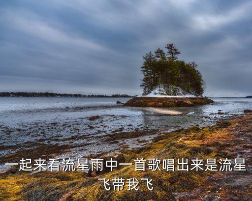 一起来看流星雨中一首歌唱出来是流星飞带我飞
