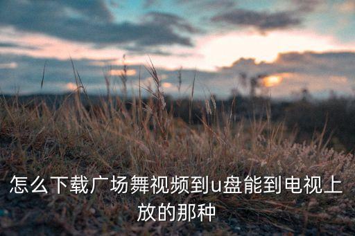 怎么下载广场舞视频到u盘能到电视上放的那种