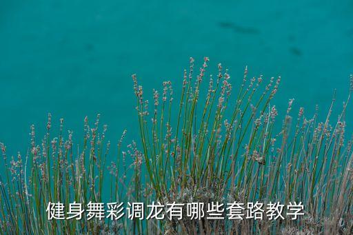 如何学健身舞龙带，坂田健身在哪里