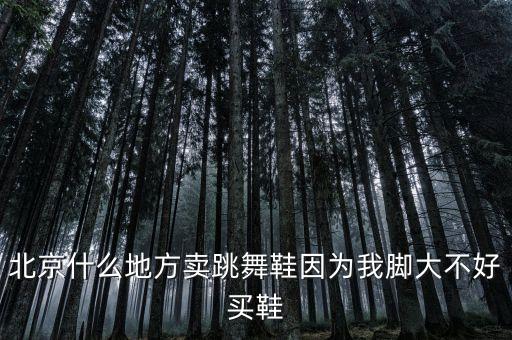 北京什么地方卖跳舞鞋因为我脚大不好买鞋