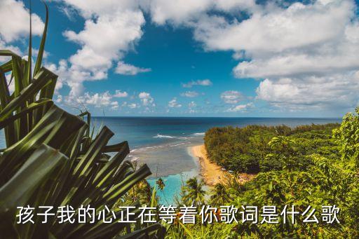 孩子我的心正在等着你歌词是什么歌