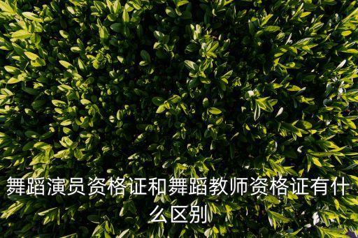 舞蹈演员资格证和舞蹈教师资格证有什么区别