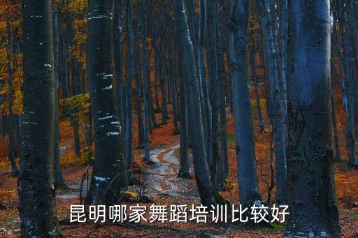 昆明哪家舞蹈培训比较好