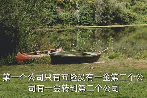 金金健身舞01视频，第一个公司只有五险没有一金第二个公司有一金转到第二个公司