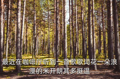 最近在咖啡厅听到一首歌歌词花一朵浪漫的米开朗其多挺温