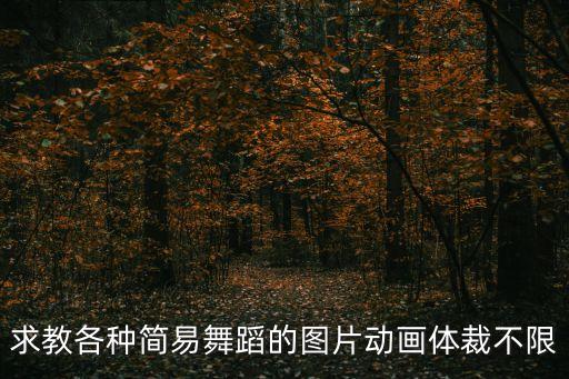 求教各种简易舞蹈的图片动画体裁不限