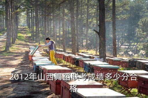 2012年山西舞蹈联考成绩多少分合格