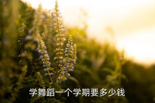 成人舞蹈班一般多少钱，郑州高新区有没有教 成人 拉丁舞的班儿特想学一个月大概多少钱