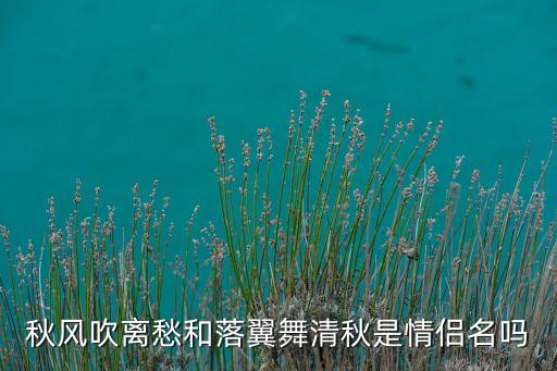 秋风吹离愁和落翼舞清秋是情侣名吗