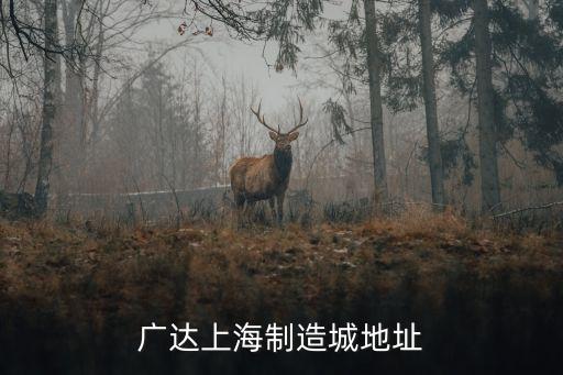 广达上海制造城地址