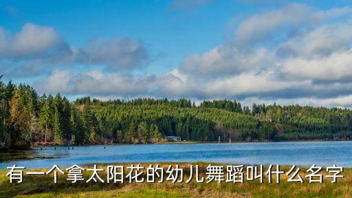 有一个拿太阳花的幼儿舞蹈叫什么名字