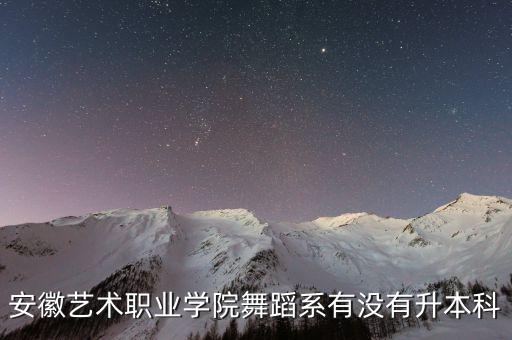 安徽艺术职业学院舞蹈系有没有升本科