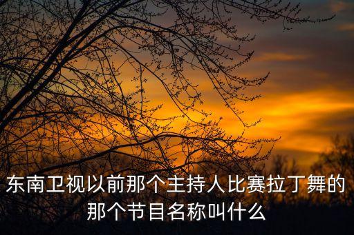 东南卫视以前那个主持人比赛拉丁舞的那个节目名称叫什么