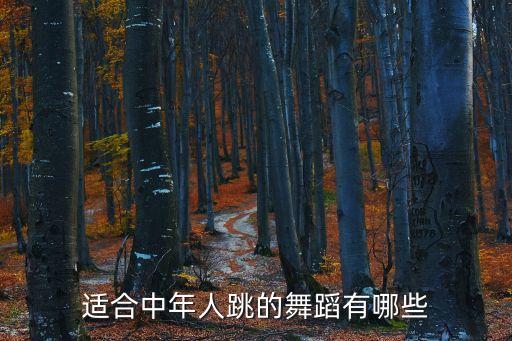适合中年人跳的舞蹈有哪些
