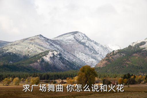 求广场舞曲 你怎么说和火花
