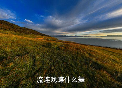 蝶衣广场舞什么的相遇，鸟儿尽情飘荡在天地的舞台那时牡丹花儿正盛开是哪个广场舞的歌词