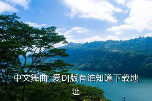 重庆叶子广场舞Dl爱是什么MP3下载，中文舞曲  爱DJ版有谁知道下载地址