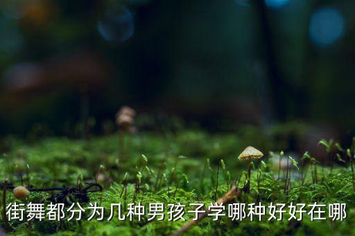 街舞都分为几种男孩子学哪种好好在哪