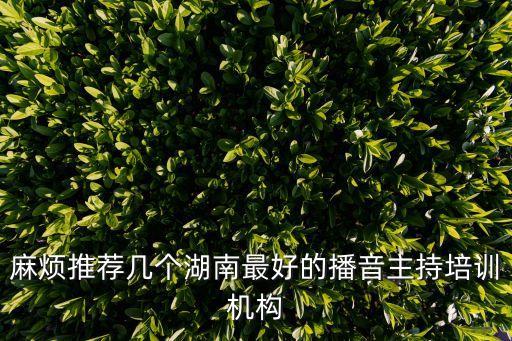 麻烦推荐几个湖南最好的播音主持培训机构