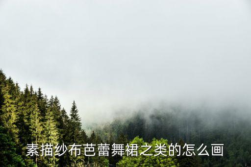 素描纱布芭蕾舞裙之类的怎么画
