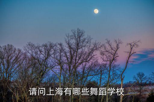 请问上海有哪些舞蹈学校