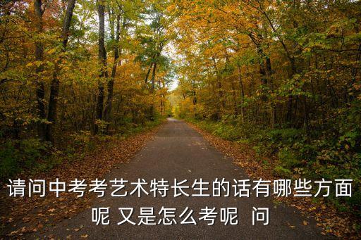 请问中考考艺术特长生的话有哪些方面呢 又是怎么考呢  问