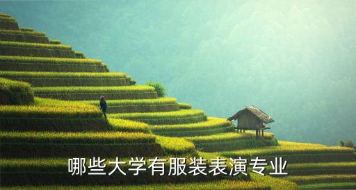 十大服装表演专业大学，服装表演那些学校很好