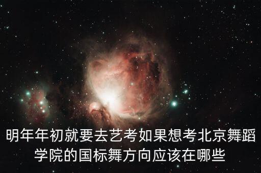 明年年初就要去艺考如果想考北京舞蹈学院的国标舞方向应该在哪些