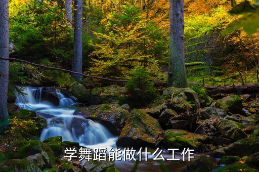 学舞蹈能做什么工作
