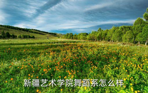 新疆艺术学院舞蹈系，新疆艺术学院舞蹈系怎么样