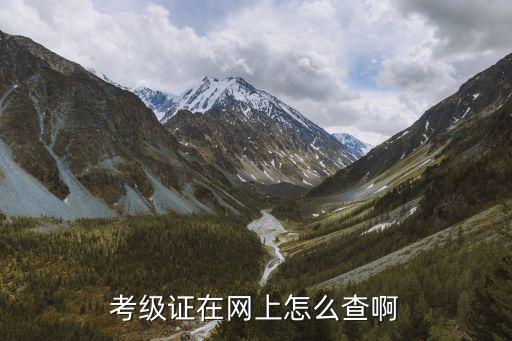 考级证在网上怎么查啊