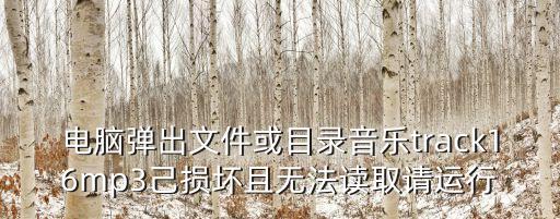 电脑弹出文件或目录音乐track16mp3己损坏且无法读取请运行