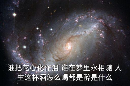 谁把花心化作泪是什么歌，谁把花心化作泪 谁在梦里永相随 人生这杯酒怎么喝都是醉是什么
