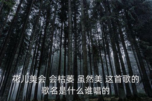 北风吹谁相随是什么歌，找一首歌 歌词没记住就听了一遍 是什么北风吹什么什么相随