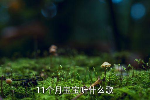 11个月宝宝听什么歌